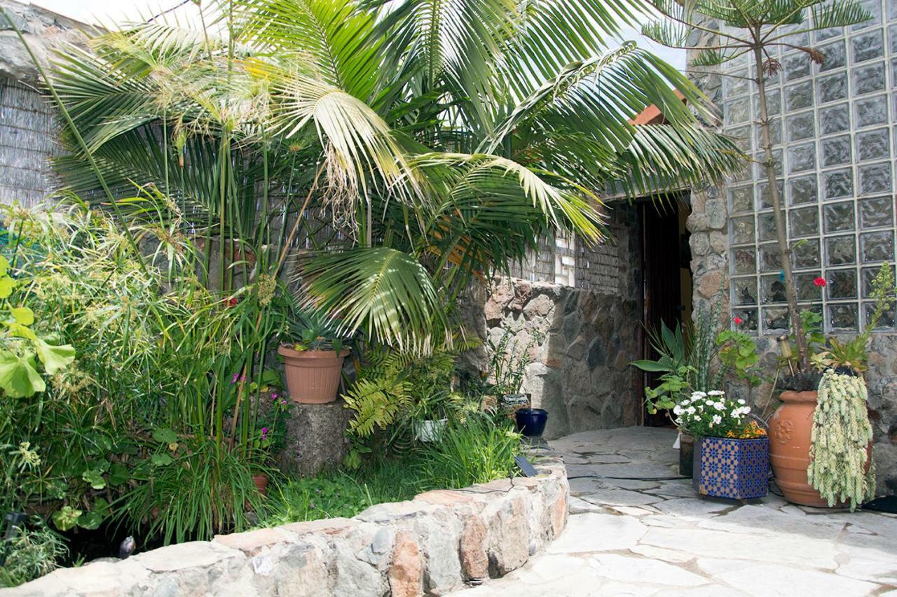 Apartamento Casa El Drago Las Palmas de Gran Canaria Exterior foto